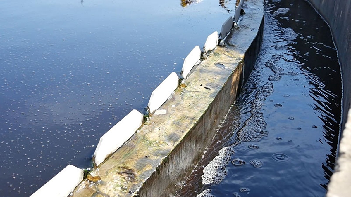 1717326507883.jpg 5bcebecd91bde.jpg